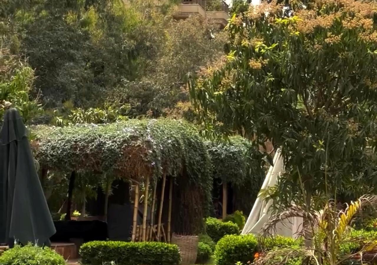 Il Campo Boutique Ecolodge El Hawamdeya Dış mekan fotoğraf