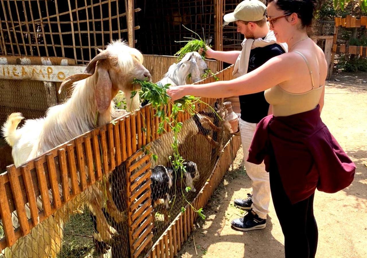Il Campo Boutique Ecolodge El Hawamdeya Dış mekan fotoğraf